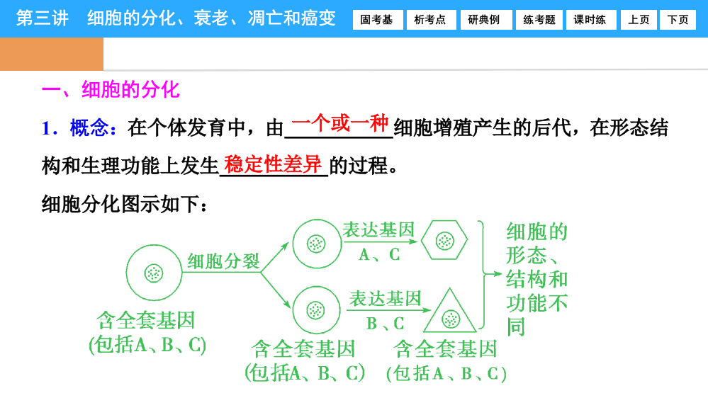 第四单元第三讲细胞的分化衰老凋亡和癌变PPT课件