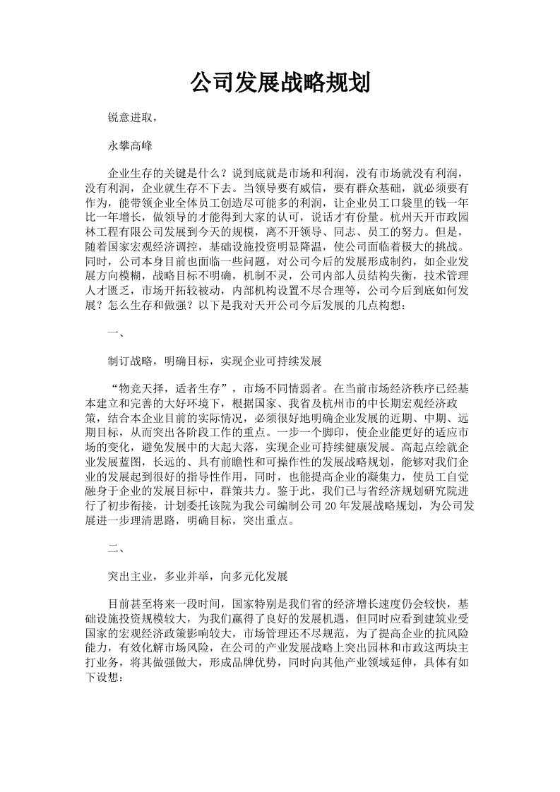 公司发展战略规划