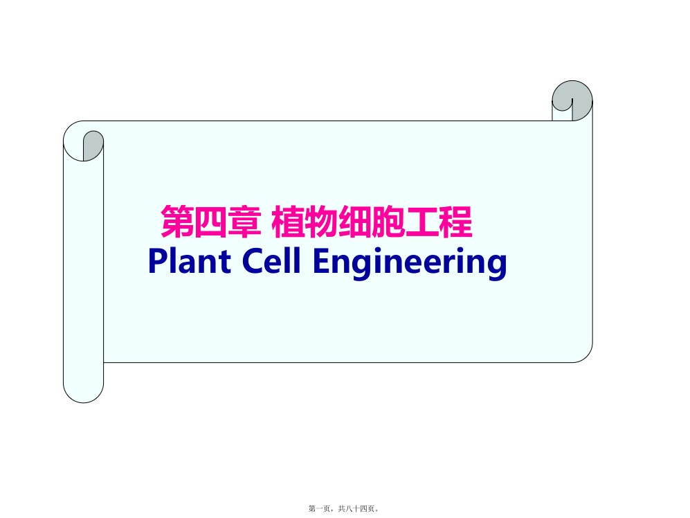 植物细胞工程(中国药科大学生物工程所有课件)