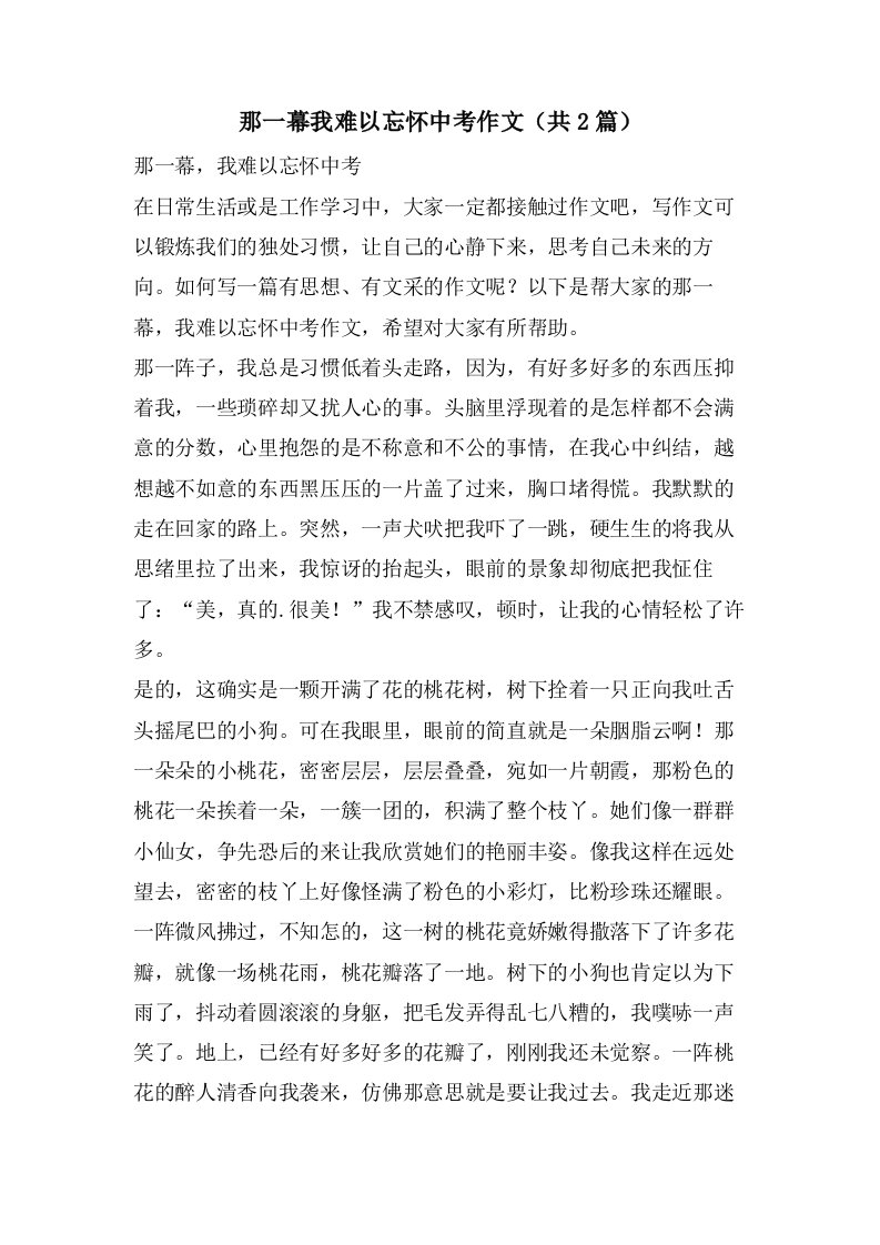 那一幕我难以忘怀中考作文（共2篇）