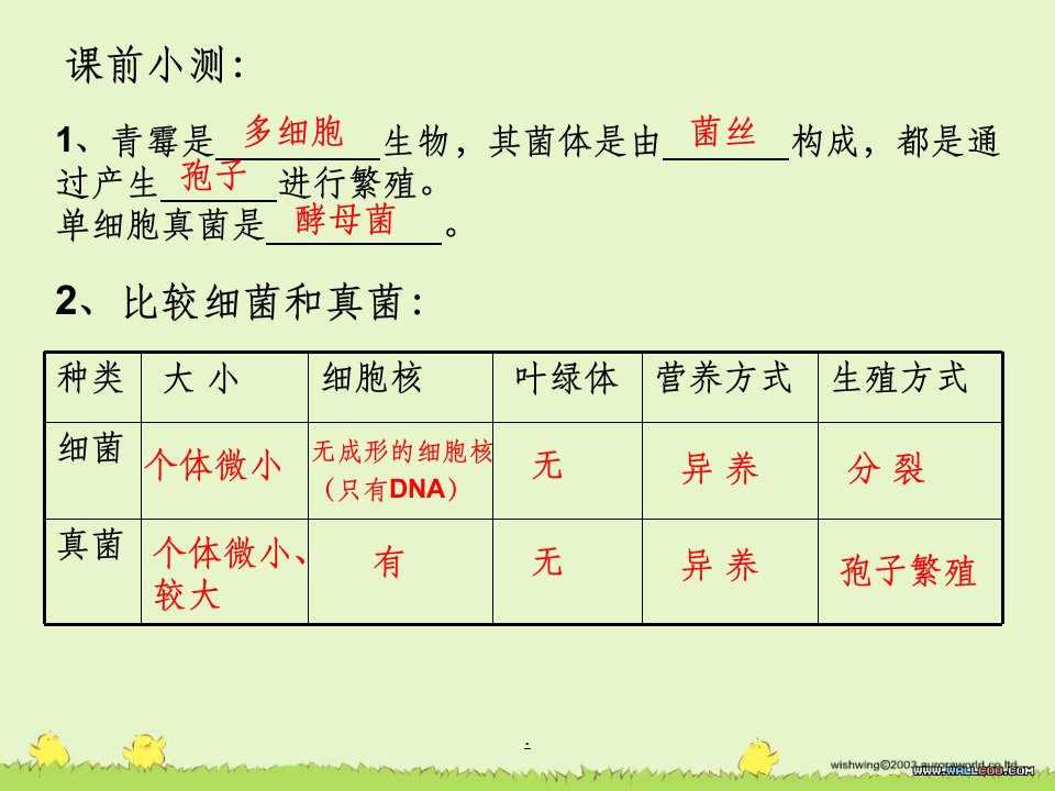 第四节细菌和真菌在自然界中的作用ppt课件