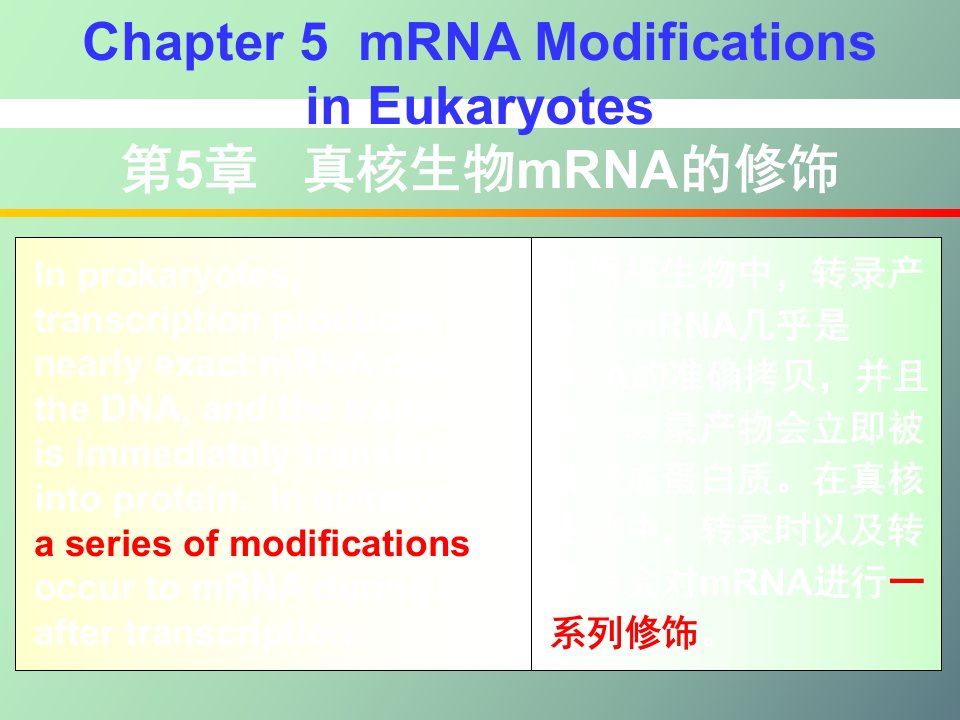 分子生物学课件第五章