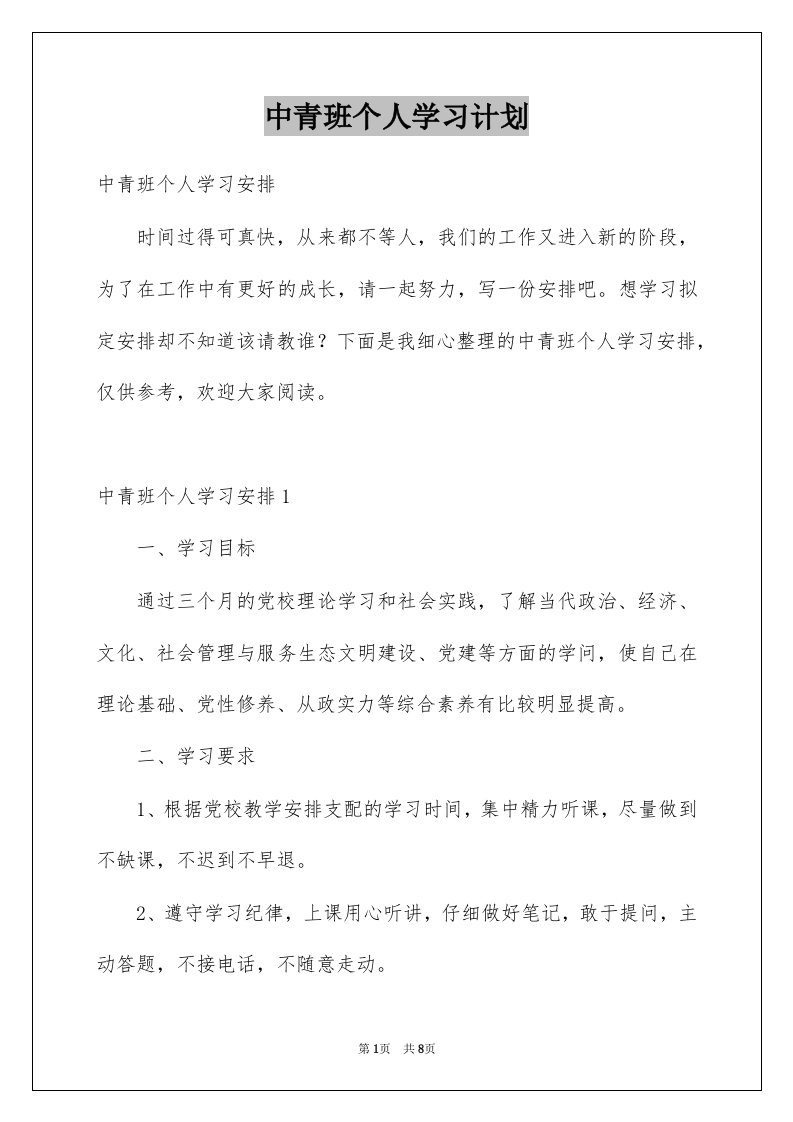 中青班个人学习计划范本