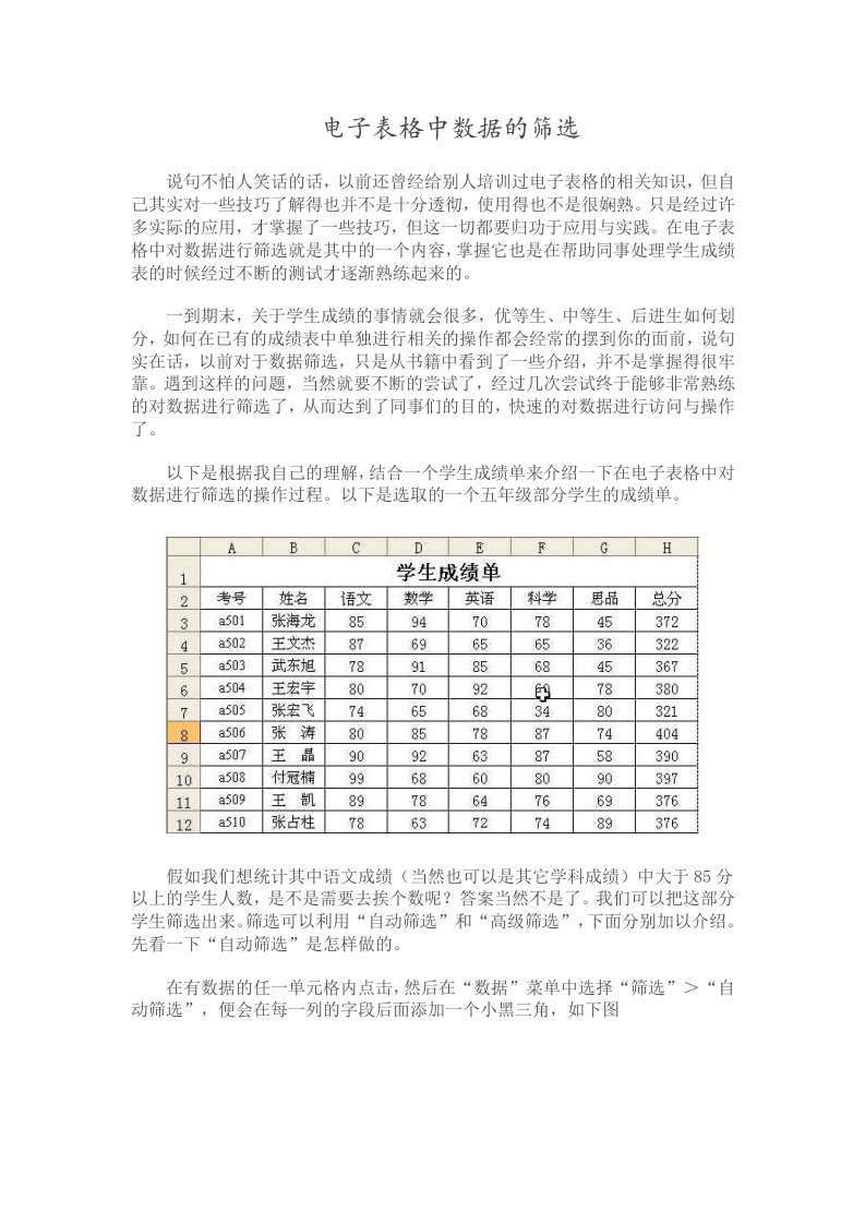 电子表格中数据的筛选