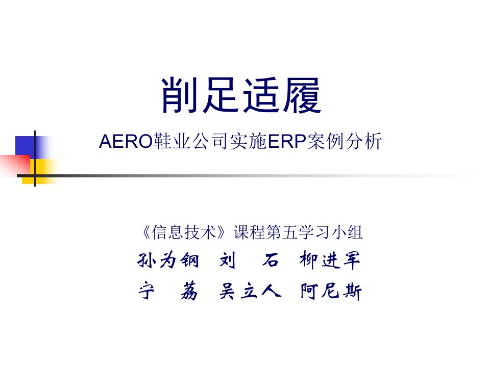 AERO鞋业公司实施ERP案例分析