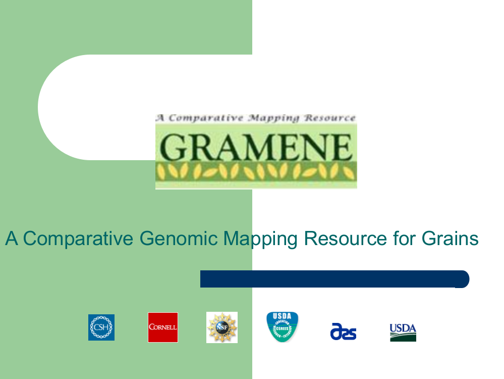 植物分子生物学网站GRAMENE-ppt介绍-非常有用