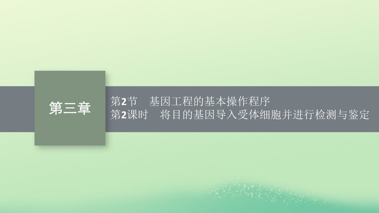 2022_2023学年新教材高中生物第3章基因工程第2节基因工程的基本操作程序第2课时将目的基因导入受体细胞并进行检测与鉴定课件新人教版选择性必修3