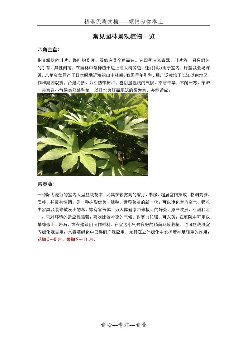 常见园林景观植物一览(共17页)