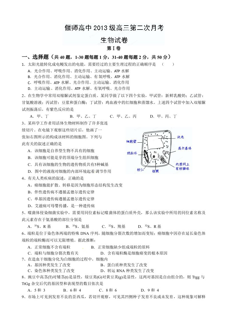 河南省偃师高中2013届高三第二次月考生物试题