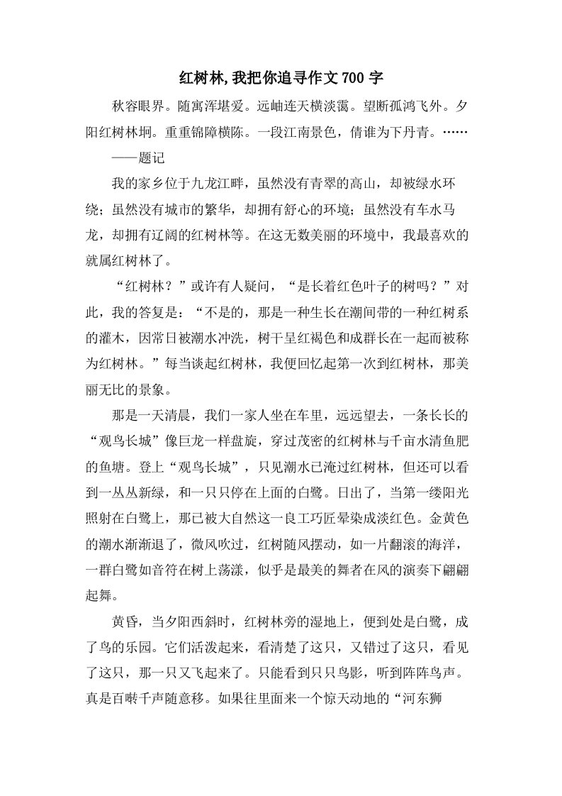 红树林,我把你追寻作文700字