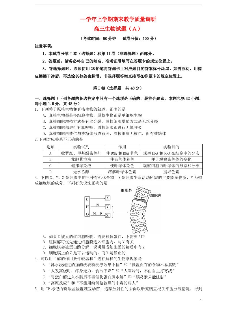 山东省广饶一中高三生物上学期期末考试试题（A卷）新人教版