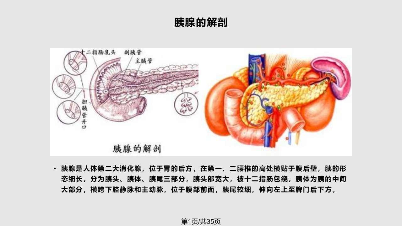 胰腺损伤PPT课件