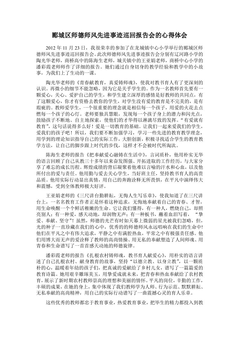 师德师风先进事迹巡回报告会心得体会