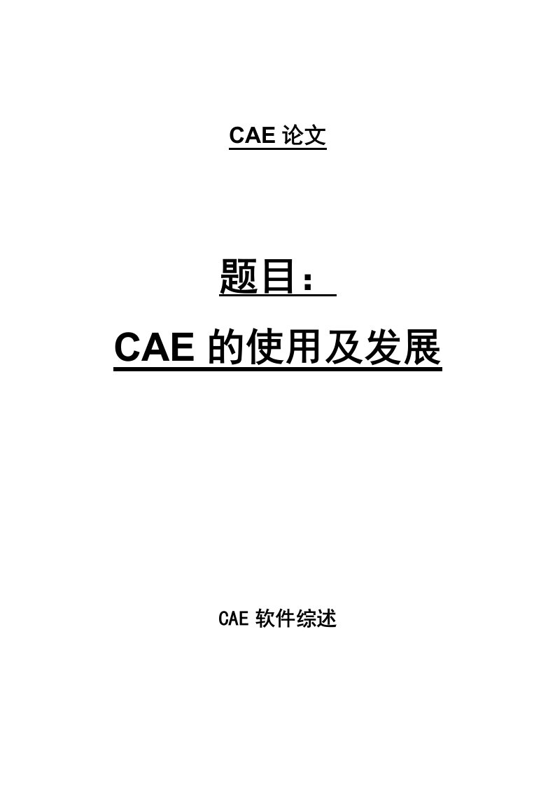 发展战略-CAE的使用及发展