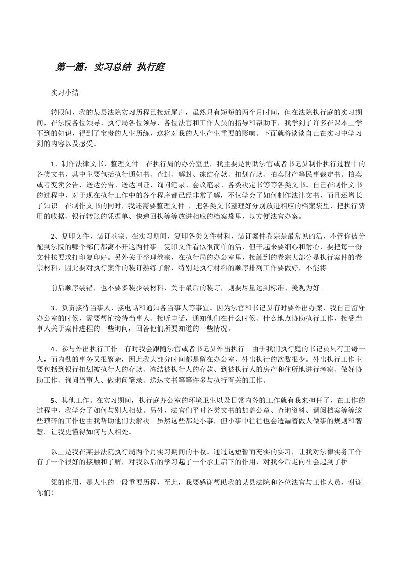 实习总结执行庭[修改版]