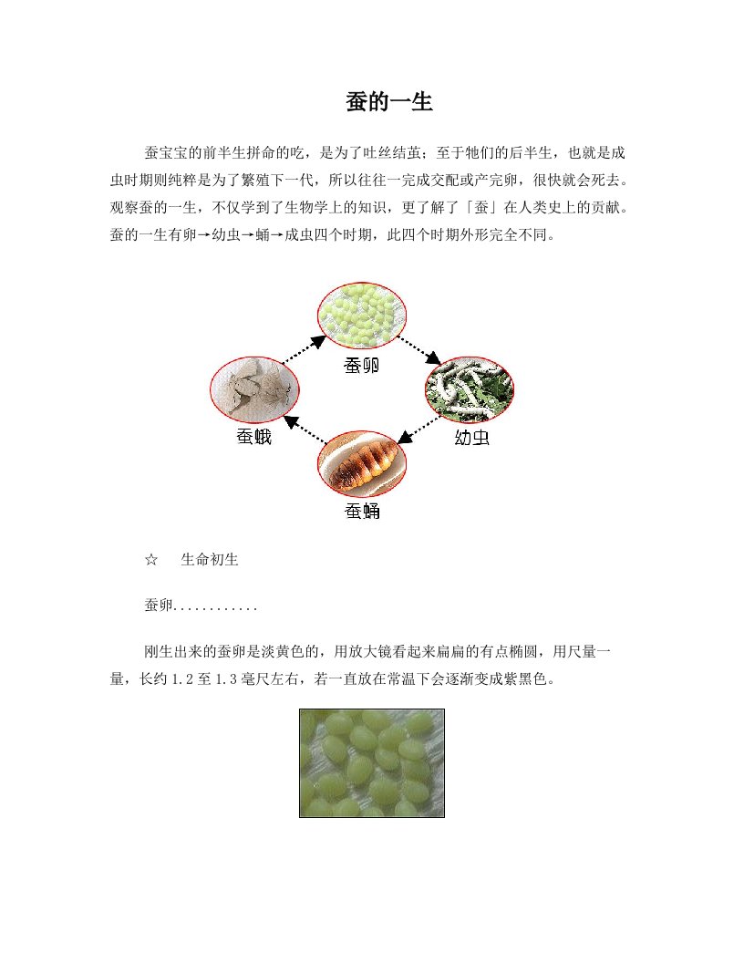 蚕的一生精彩资料