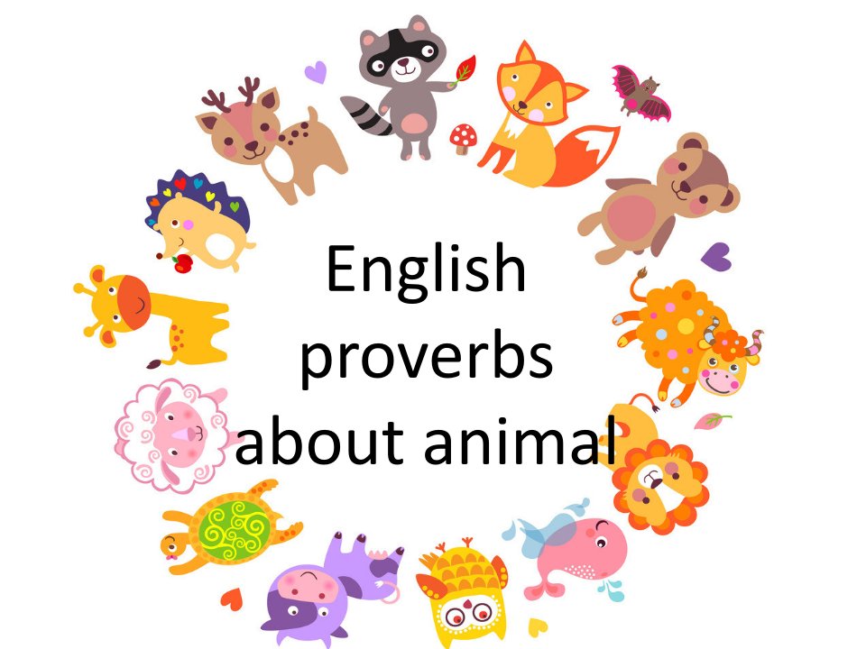 英语ppt——小演讲english-proverbs-about-animal