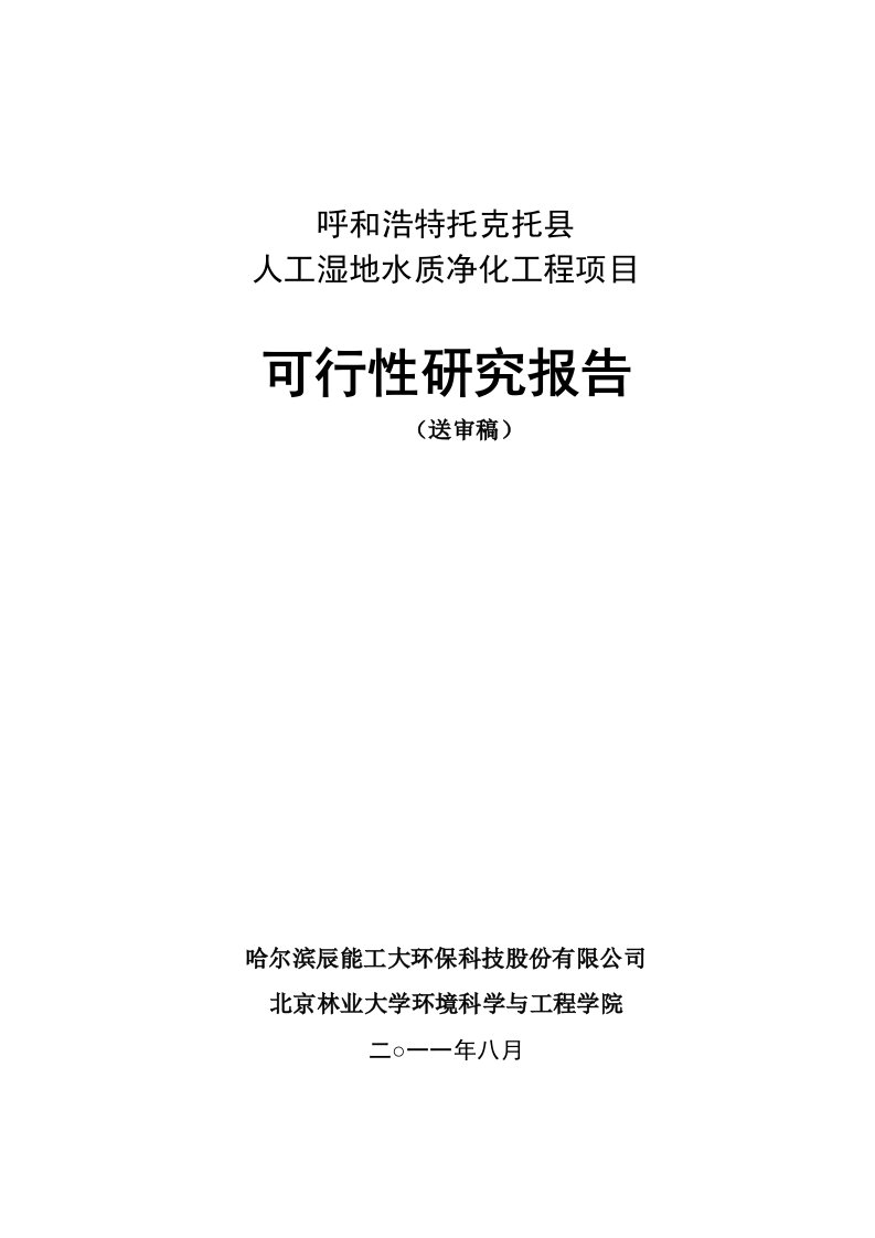 人工湿地水质净化工程项目可行性研究报告