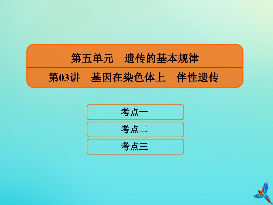 2020高考生物一轮复习5.3基因在染色体上伴性遗传ppt课件