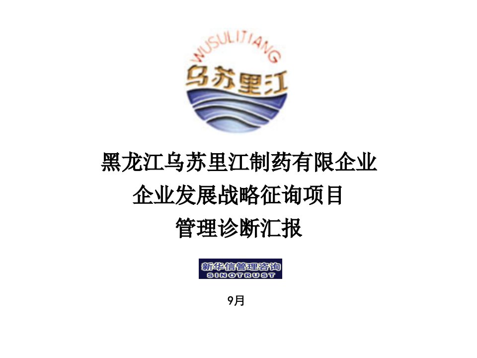 企业发展战略咨询项目管理诊断报告