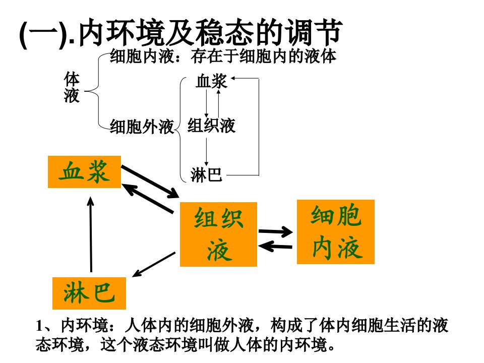 高三生物内环境及稳态的调节