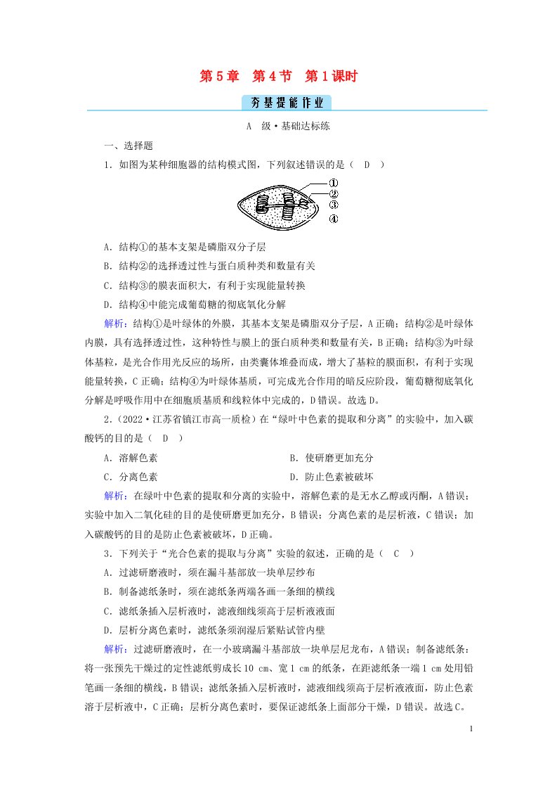 新教材2023年高中生物第5章细胞的能量供应和利用第4节光合作用与能量转化第1课时捕获光能的色素和结构夯基提能作业新人教版必修1