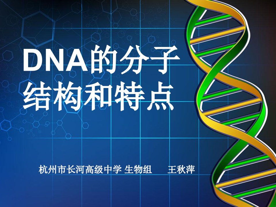 DNA的分子结构和特点课件