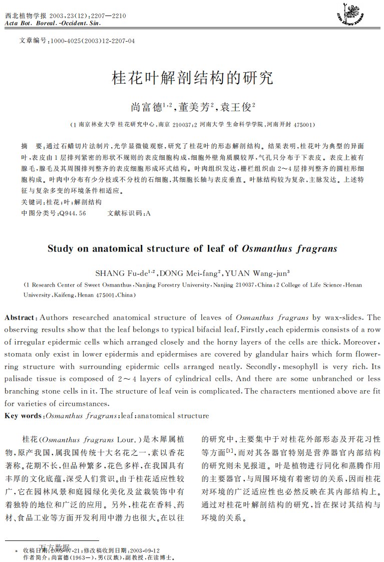 桂花叶解剖结构的研究