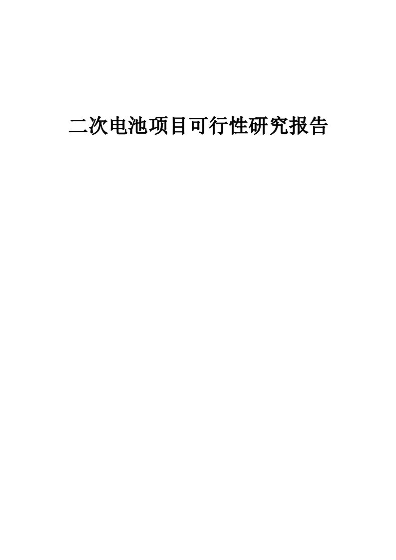 二次电池项目可行性研究报告