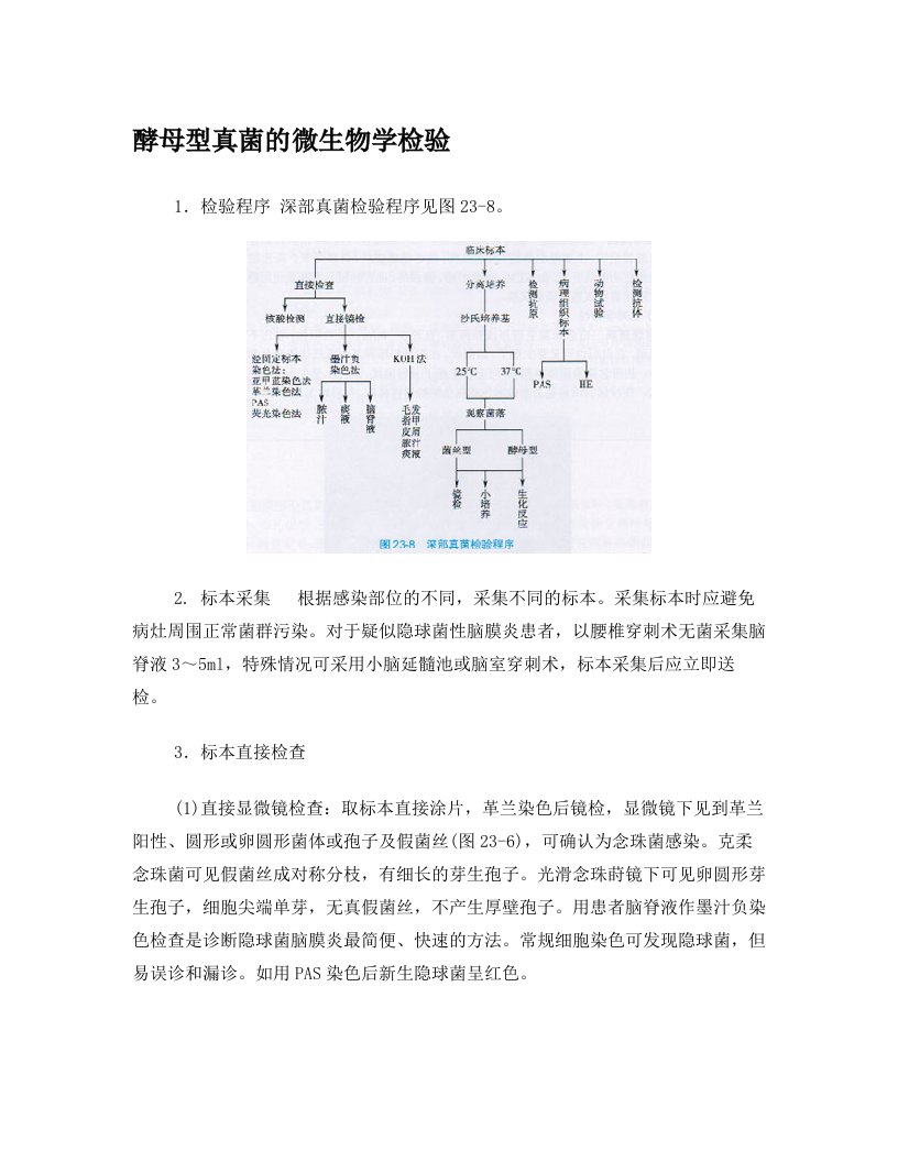 酵母型真菌的微生物学检验