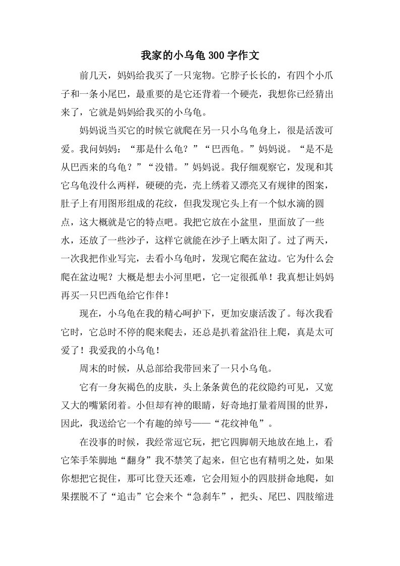 我家的小乌龟300字作文