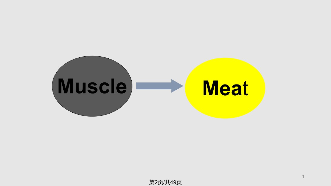 续屠宰后肉变化