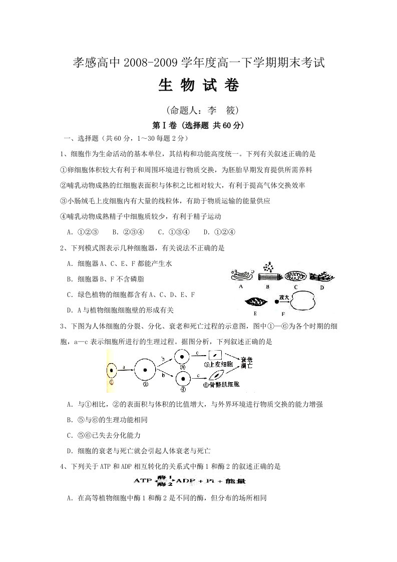 湖北省孝感高中高一下学期期末考试