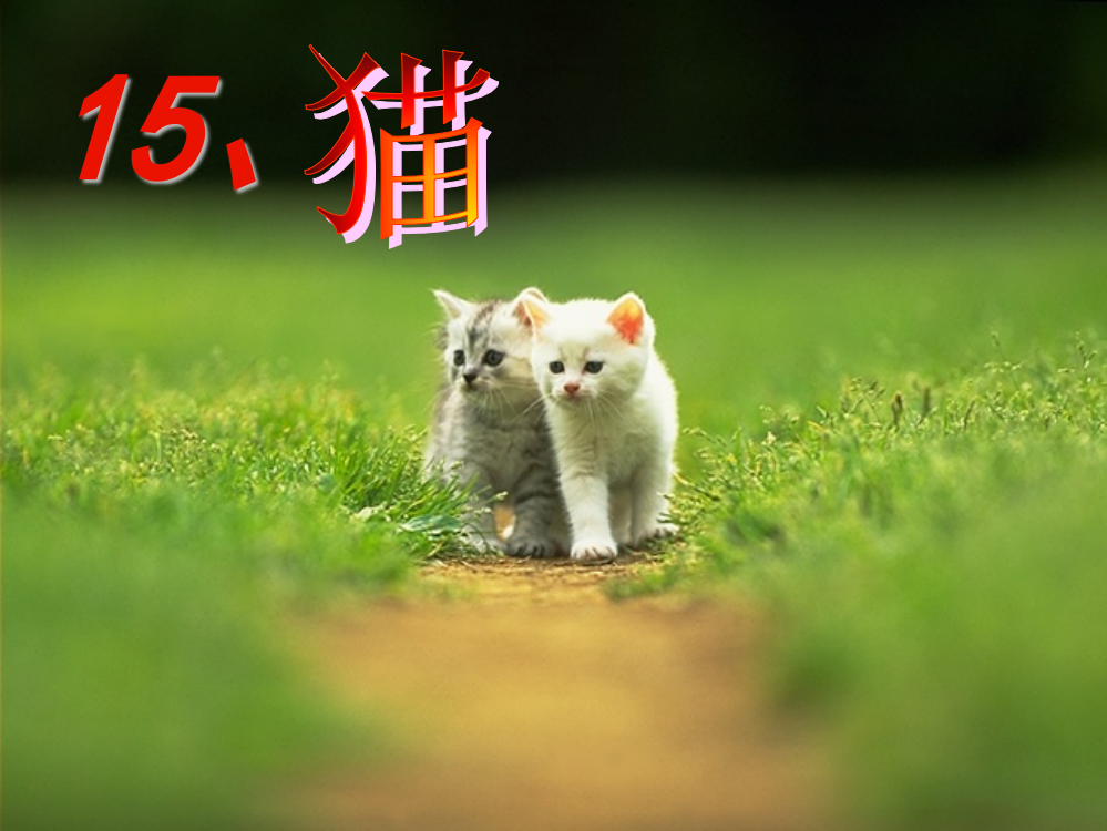 人教版四年级语文上册猫的课件