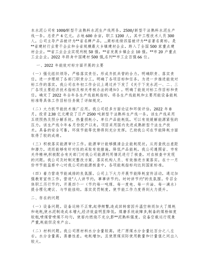 水泥公司能效对标工作总结