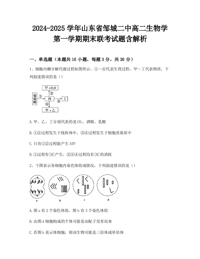 2024-2025学年山东省邹城二中高二生物学第一学期期末联考试题含解析