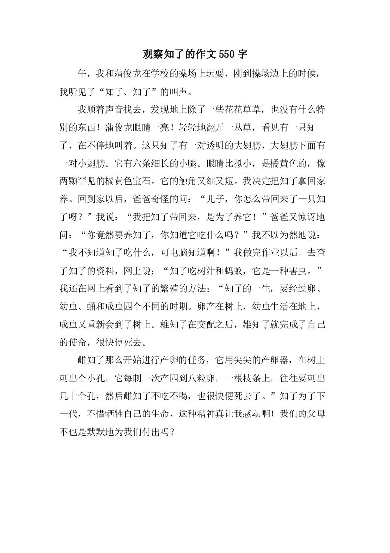 观察知了的作文550字