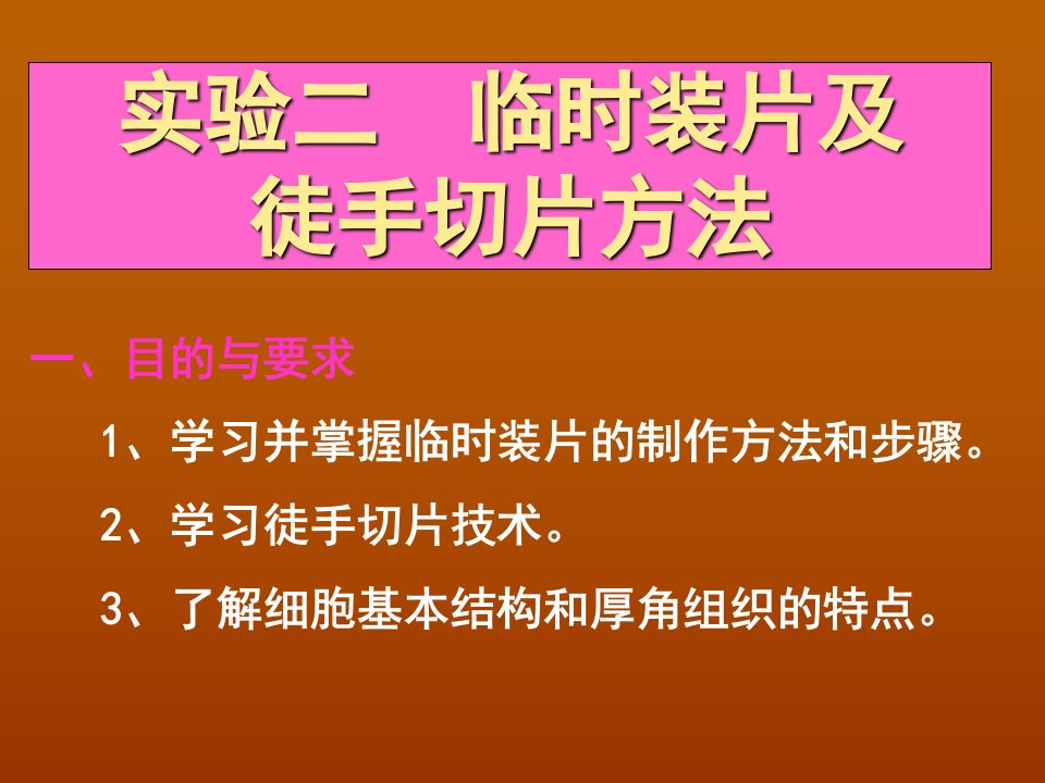 实验二临时装片及徒手切片方法