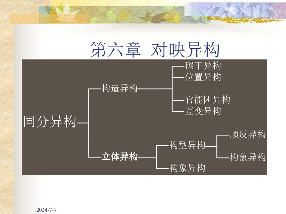 汪小兰有机课件第四版对映异构