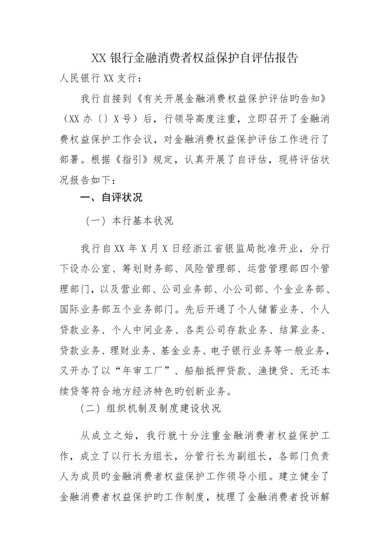 银行金融消费者权益保护自评经典报告