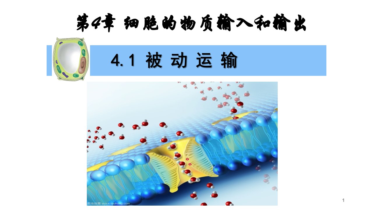 人教版生物必修一4.1-被动运输课件