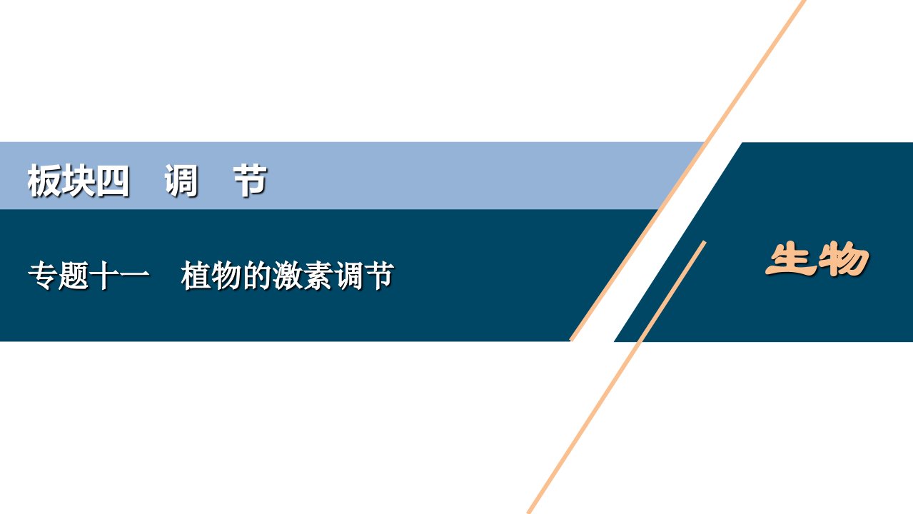 专题11-植物的激素调节-2021年高考生物二轮模块复习ppt课件