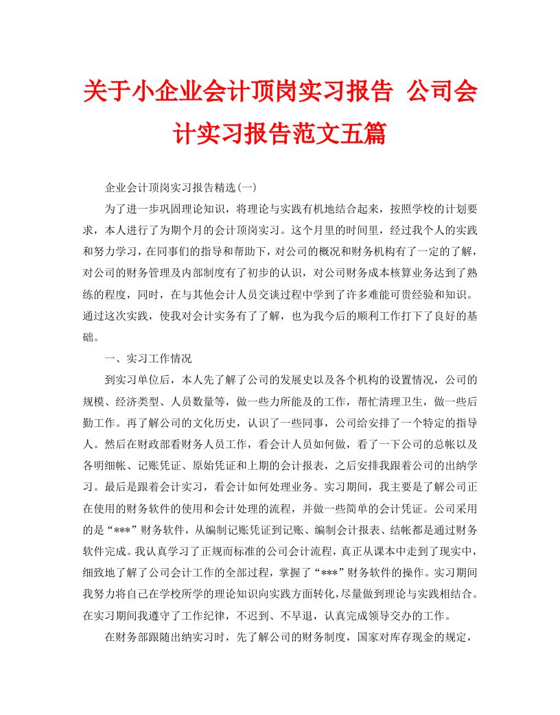 关于小企业会计顶岗实习报告