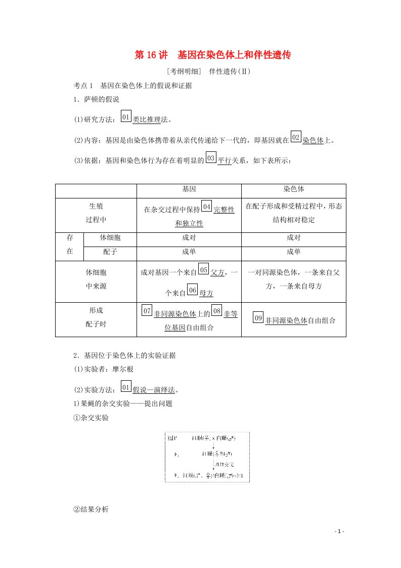 2021届高考生物一轮复习第5单元遗传的基本规律与伴性遗传第16讲基因在染色体上和伴性遗传教学案新人教版必修2