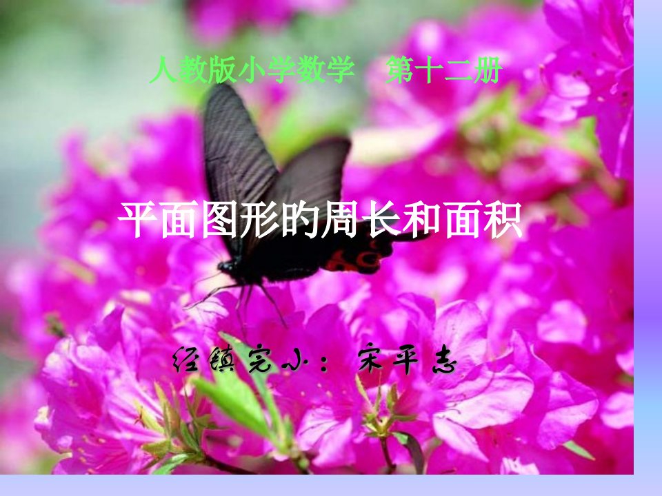 平面图形的周长和面积(人教版小学数学六年级下册)省公开课获奖课件市赛课比赛一等奖课件