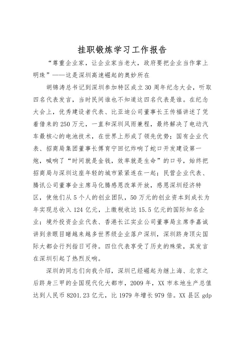 2022挂职锻炼学习工作报告