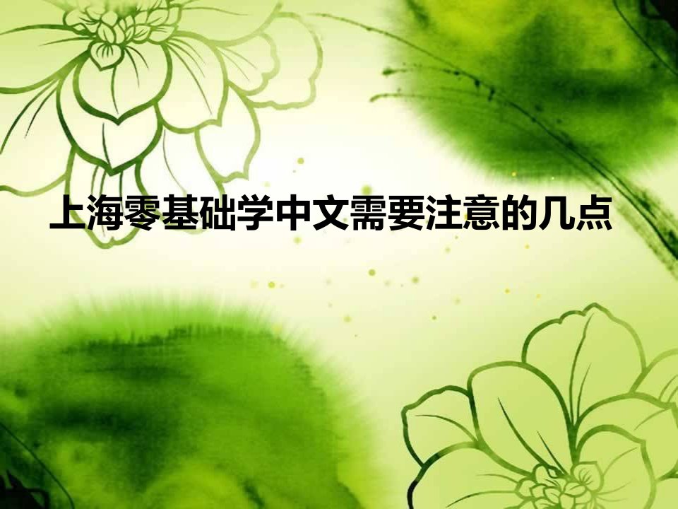 上海零基础学中文需要注意的几点ppt课件