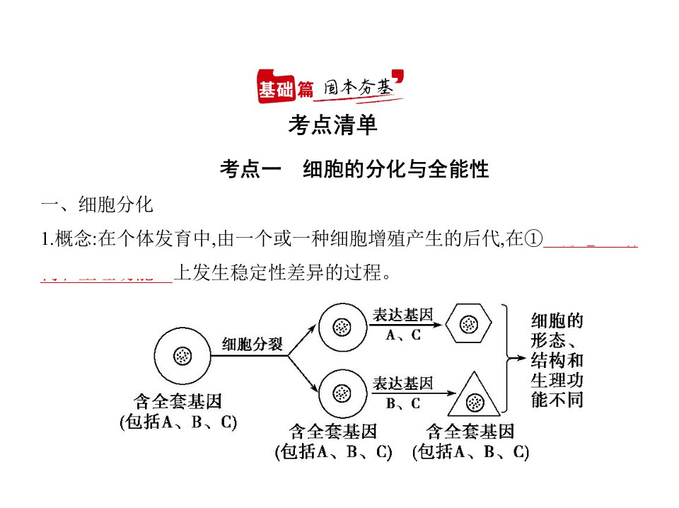 2021年广东高考生物复习课件：专题8细胞的分化、衰老、凋亡和癌变