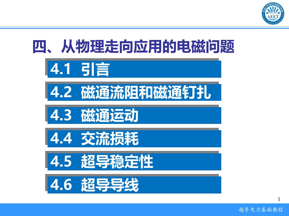 1106n06磁通运动与钉扎