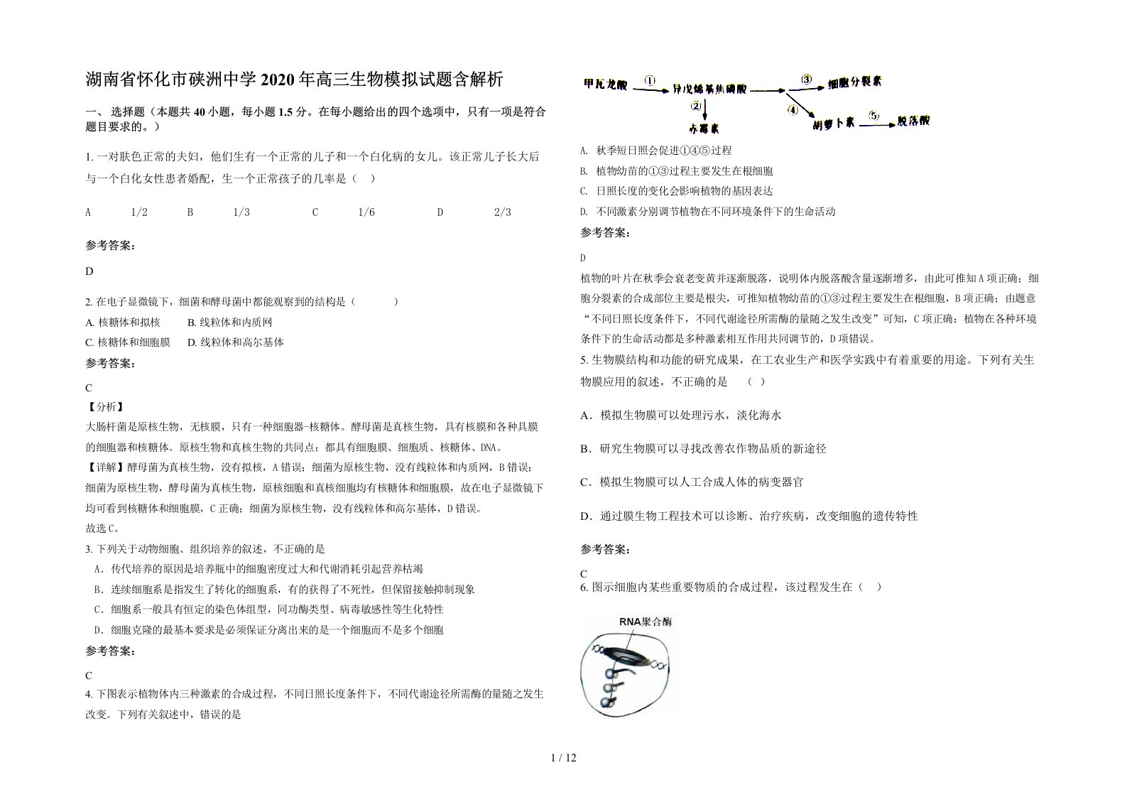 湖南省怀化市硖洲中学2020年高三生物模拟试题含解析